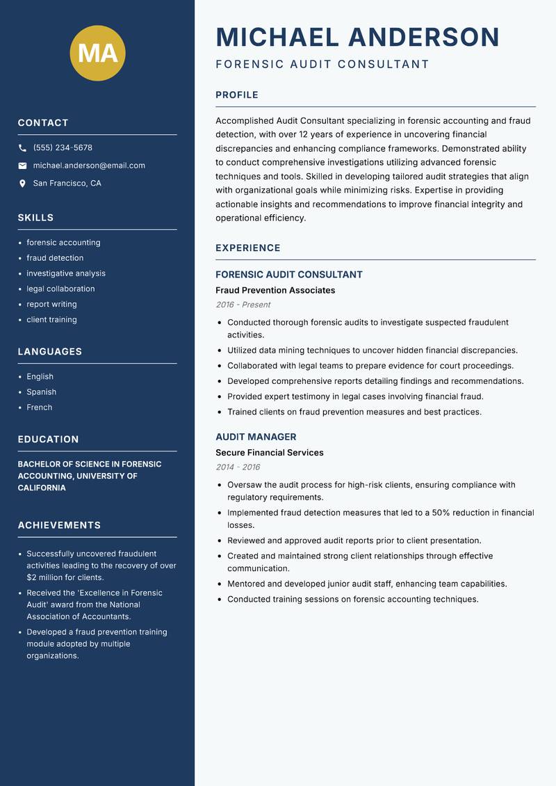 Audit Consultant resume template — Classic Clean