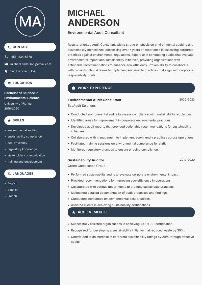 Audit Consultant resume template — Compact