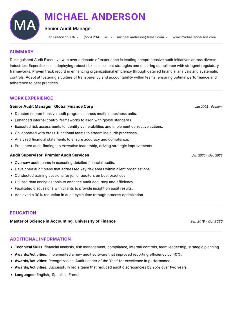 Audit Executive resume example — ATS-friendly template