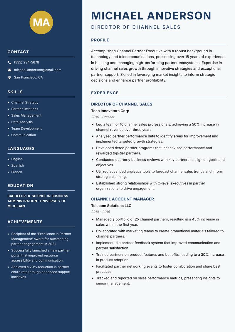 Channel Partner Executive resume template — Classic Clean