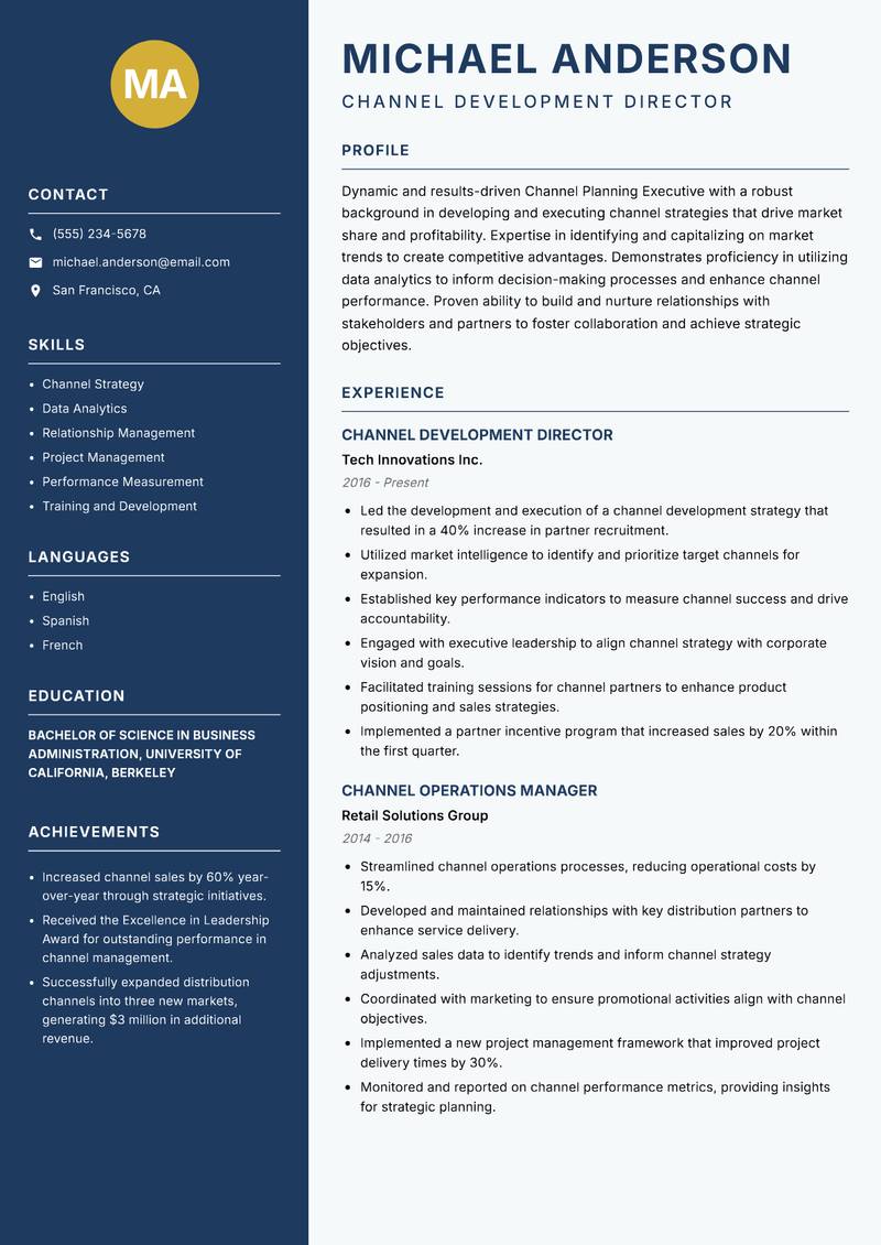 Channel Planning Executive resume template — Classic Clean