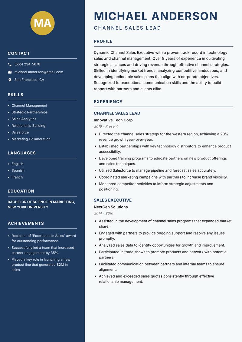Channel Sales Executive resume template — Classic Clean