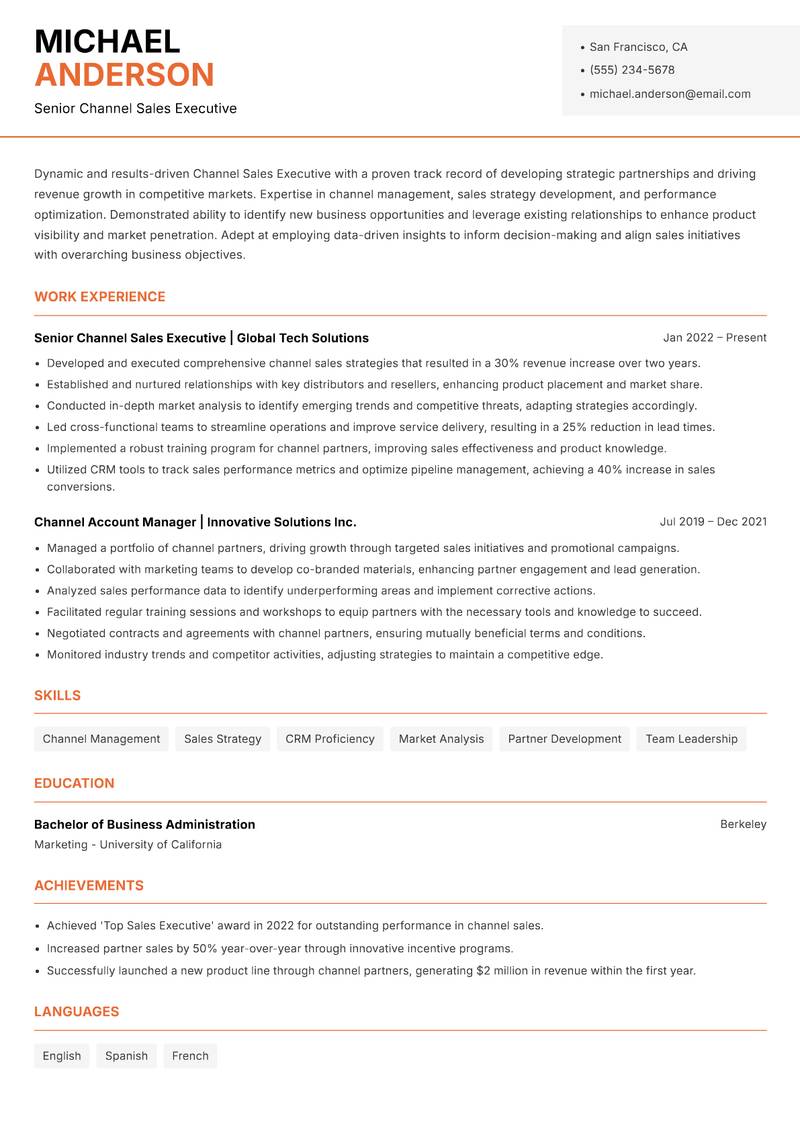 Channel Sales Executive resume template — Modern Professional