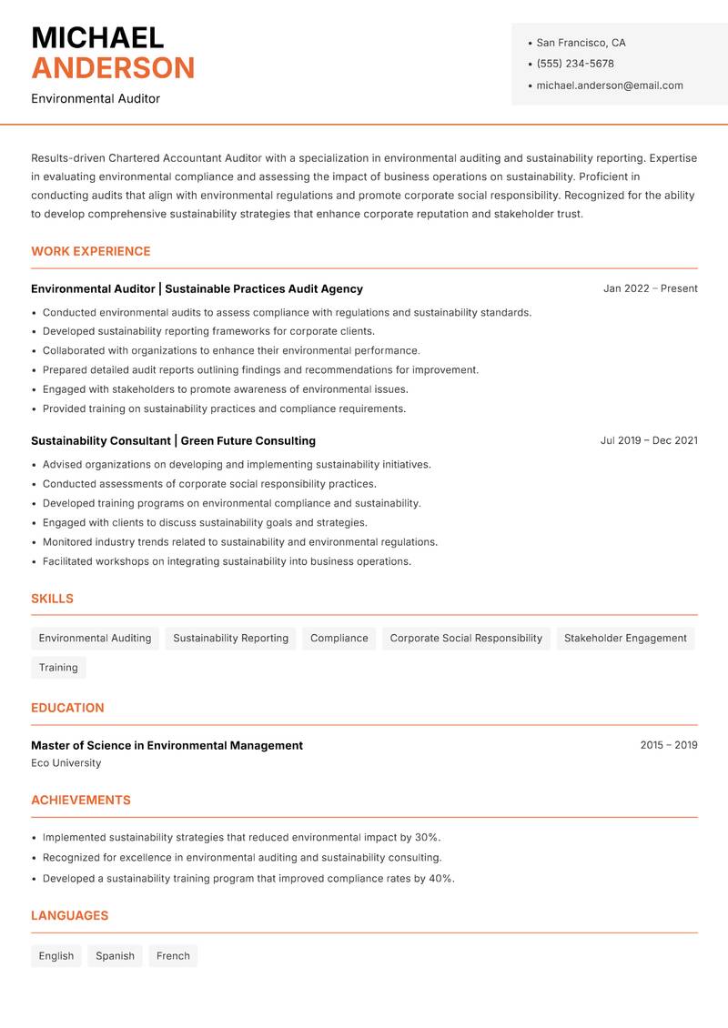 Chartered Accountant Auditor resume template — Modern Professional