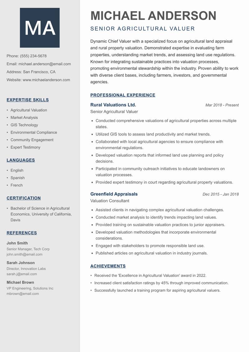 Chief Valuer resume template — Creative Minimal