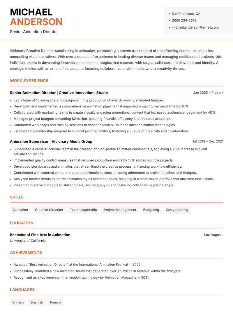 Creative Director Animation resume template — Modern Professional