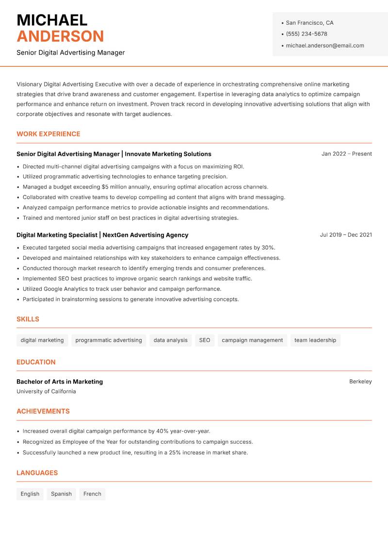 Digital Advertising Executive resume template — Modern Professional