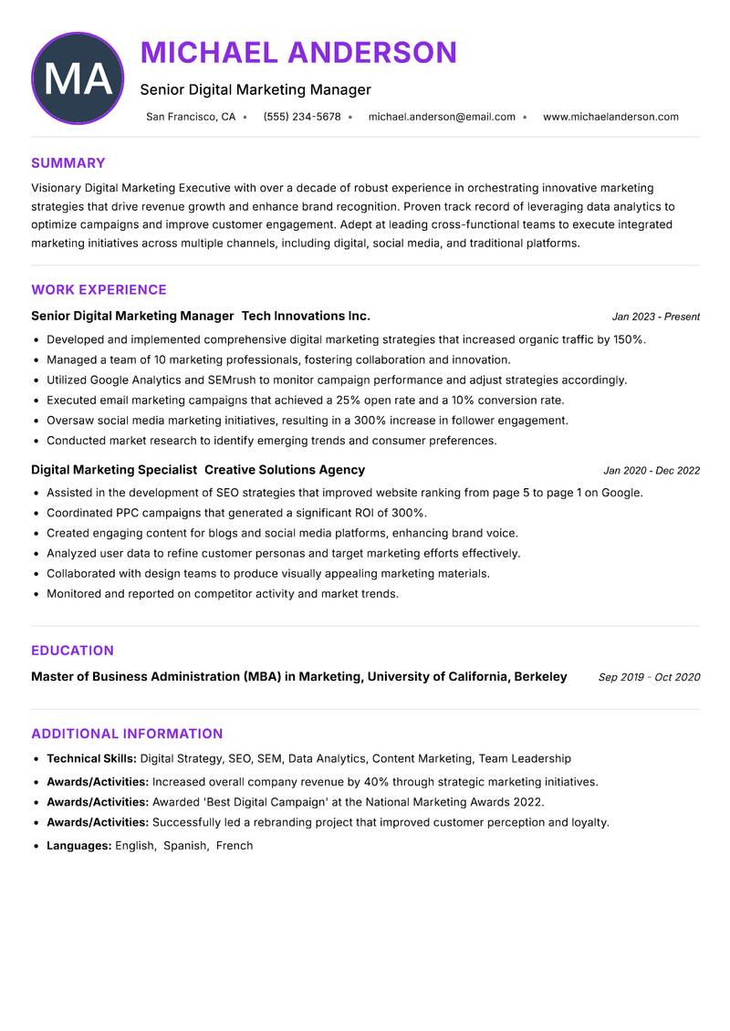 Digital Marketing Executive resume example — ATS-friendly template