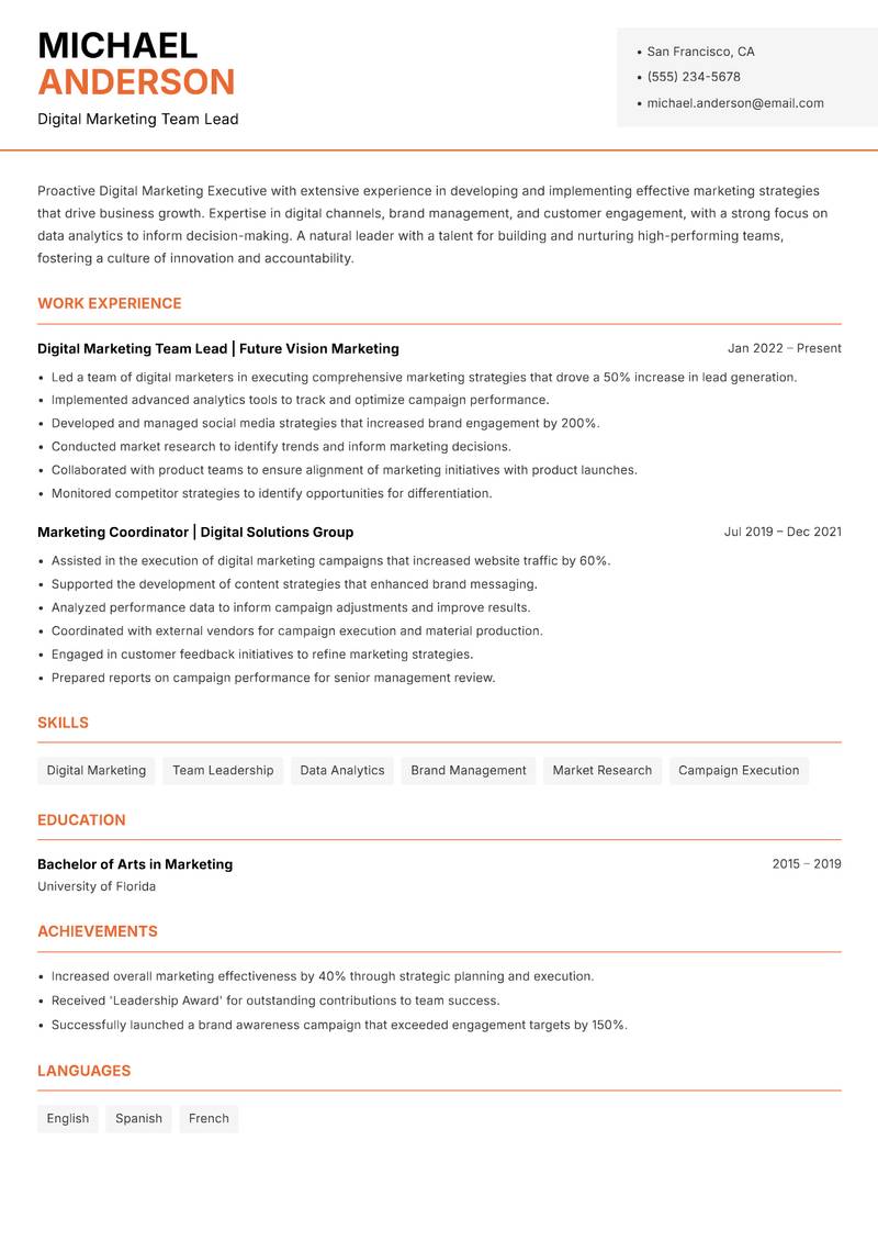 Digital Marketing Executive resume template — Modern Professional