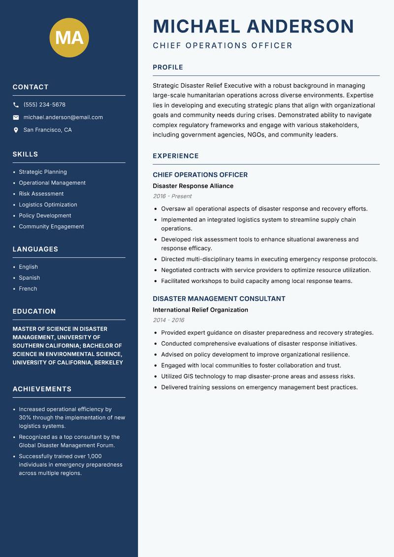 Disaster Relief Executive resume template — Classic Clean