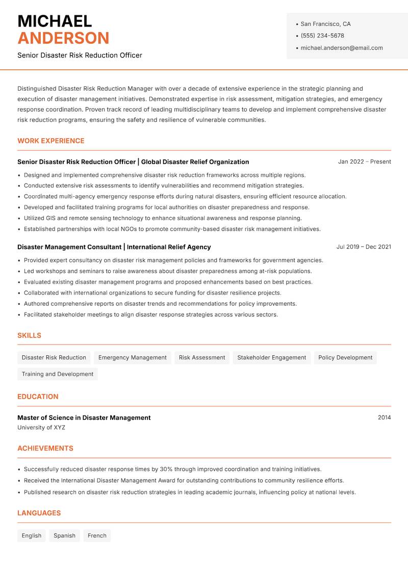 Disaster Risk Reduction Manager resume template — Modern Professional