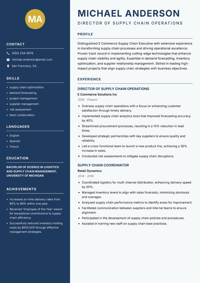 E Commerce Supply Chain Executive resume template — Classic Clean