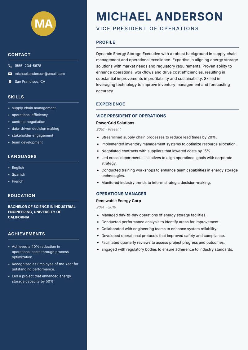 Energy Storage Executive resume template — Classic Clean