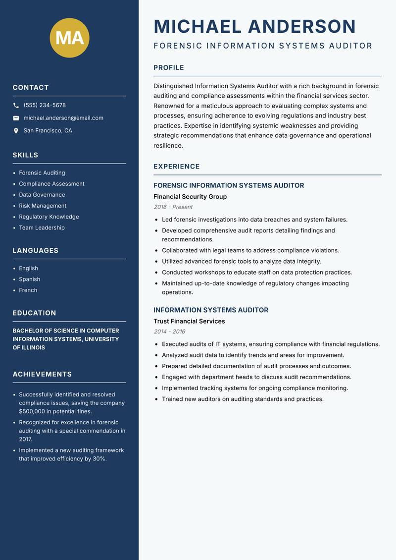 Information Systems Auditor resume template — Classic Clean