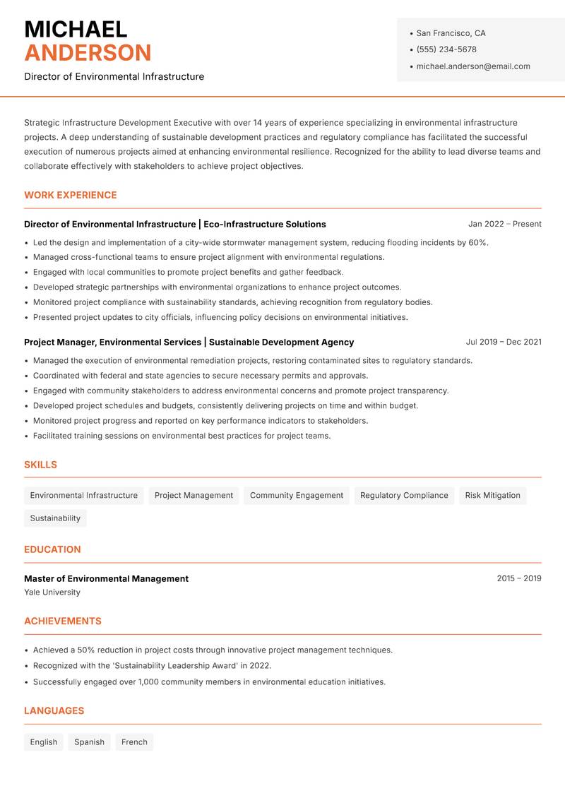 Infrastructure Development Executive resume template — Modern Professional