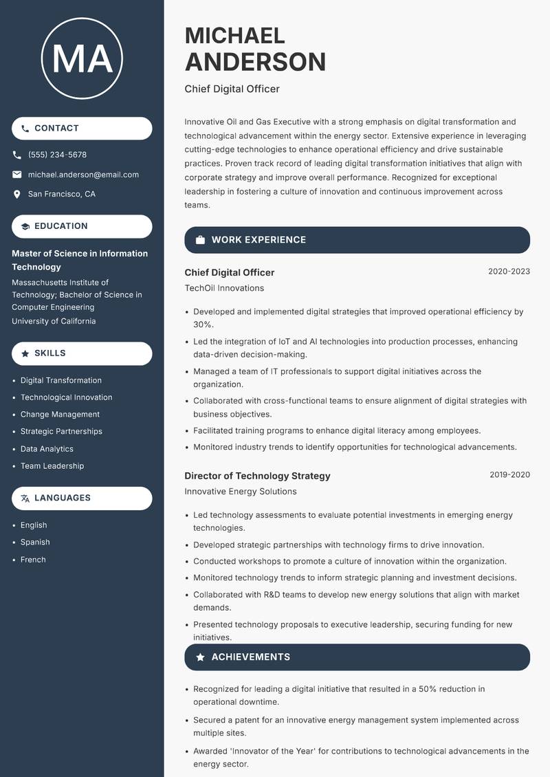 Oil and Gas Executive resume template — Compact
