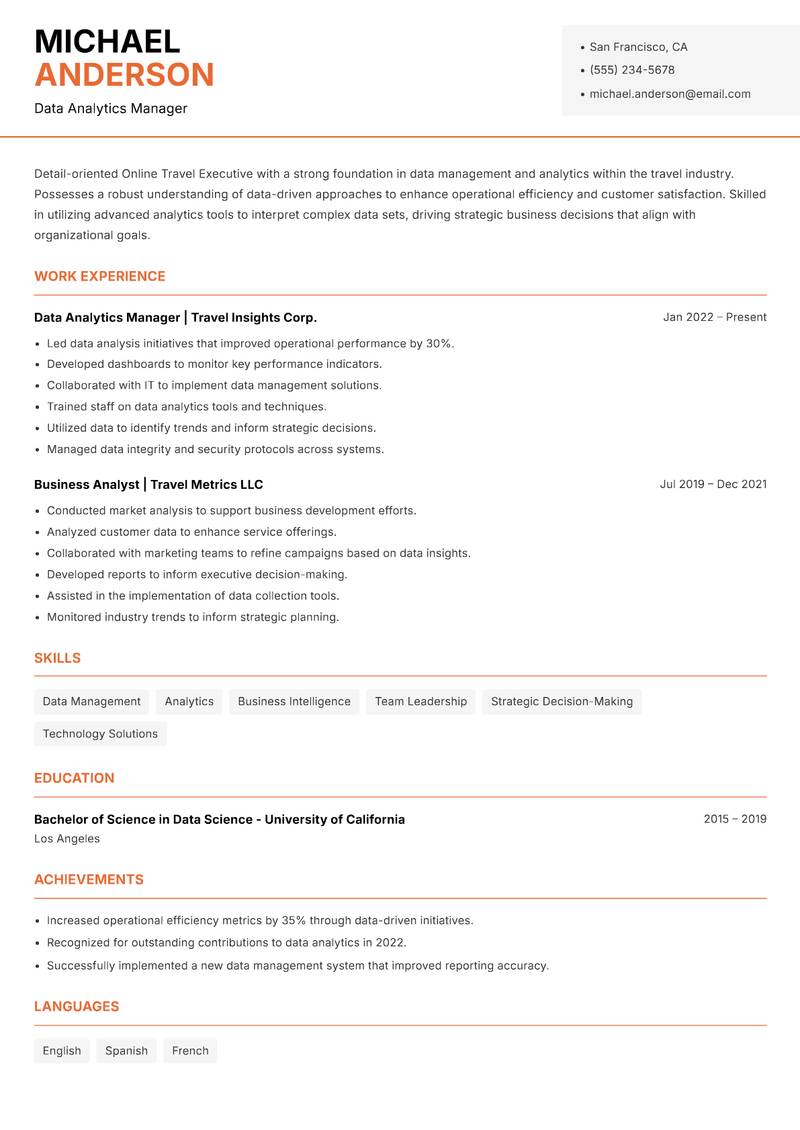 Online Travel Executive resume template — Modern Professional