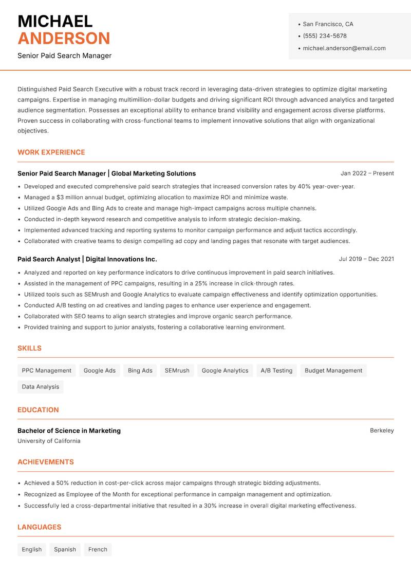 Paid Search Executive resume template — Modern Professional