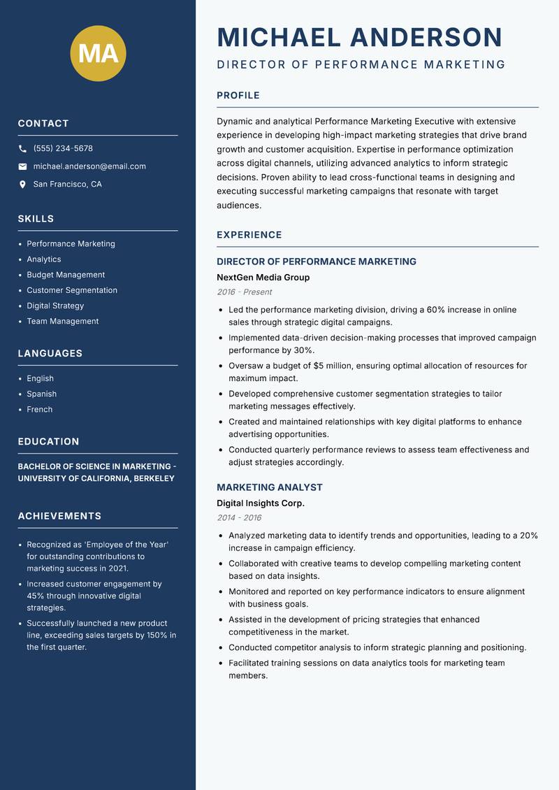 Performance Marketing Executive resume template — Classic Clean