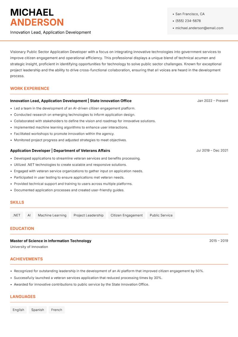 Public Sector Application Developer resume template — Modern Professional