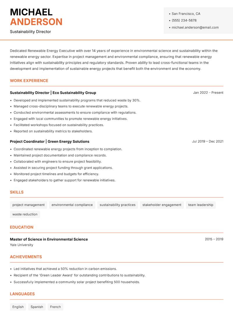 Renewable Energy Executive resume template — Modern Professional