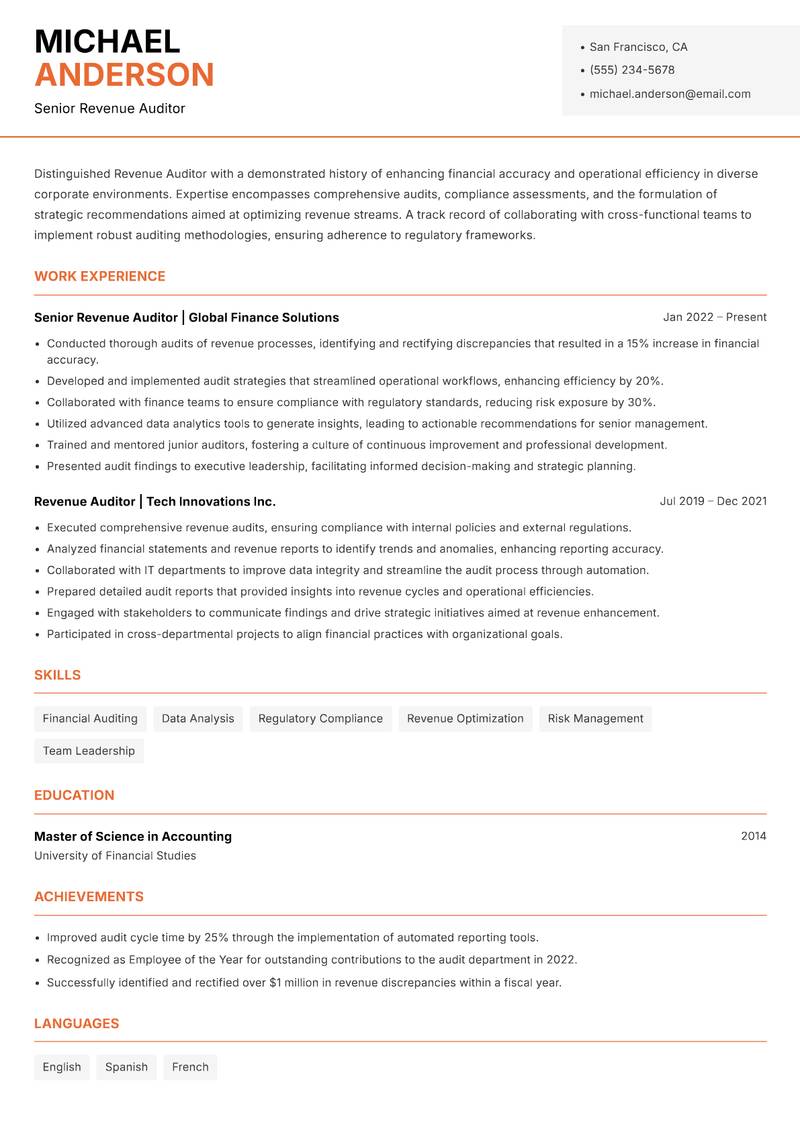 Revenue Auditor resume template — Modern Professional