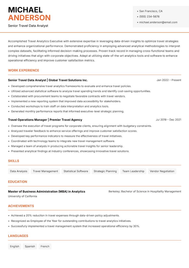 Travel Analytics Executive resume template — Modern Professional
