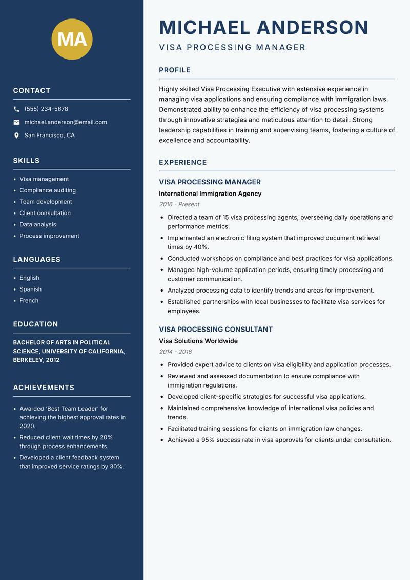 Visa Processing Executive resume template — Classic Clean