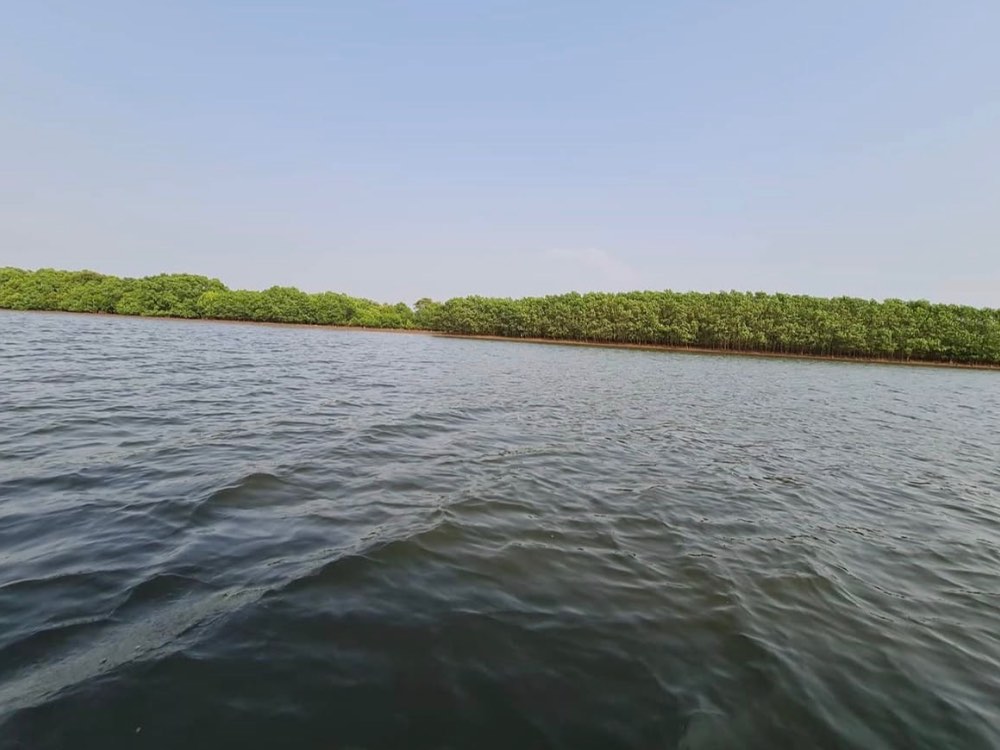 Cumbarjua Canal in Goa — photo 2
