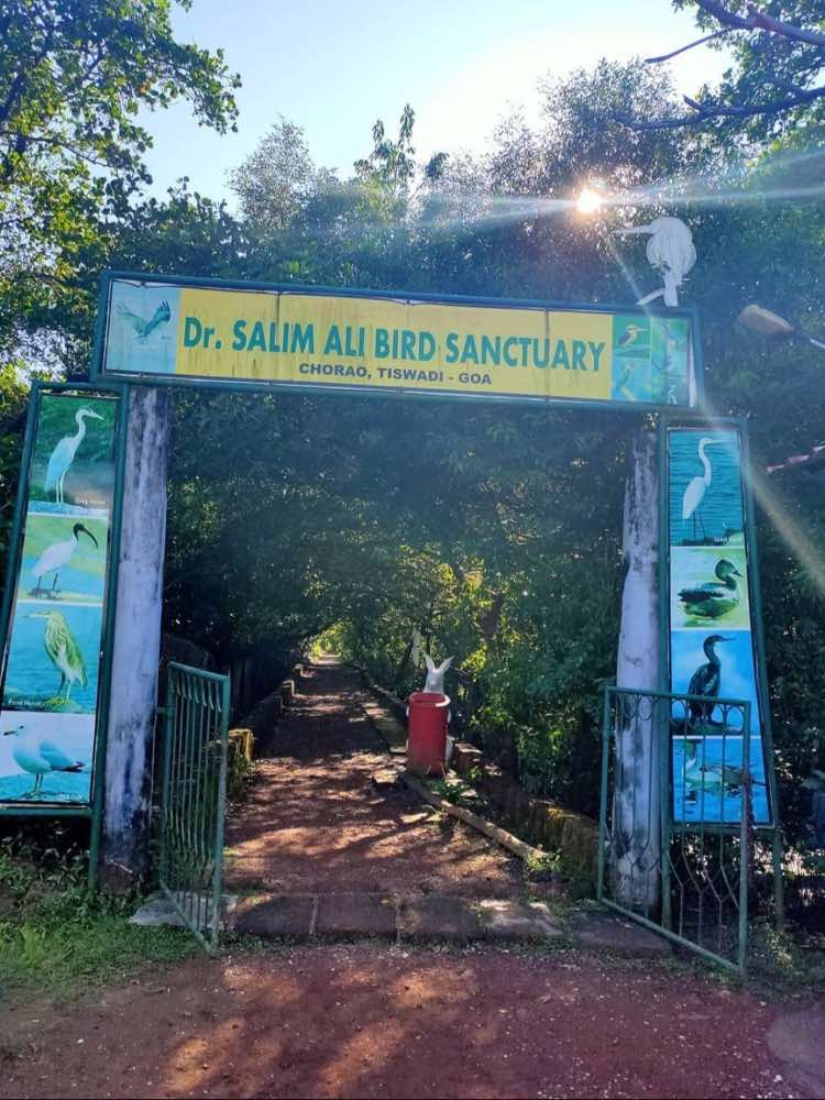 Dr. Salim Ali Bird Sanctuary
