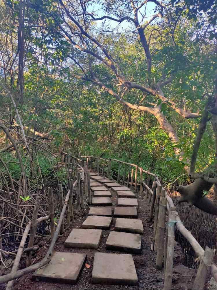 Dr. Salim Ali Bird Sanctuary in Goa — photo 2
