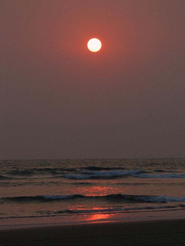 Morjim Beach (North Creek Section) in Goa — photo 2