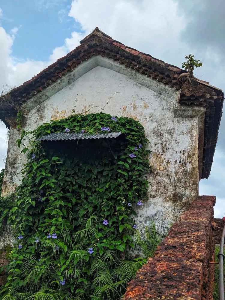 Reis Magos Fort in Goa — photo 4