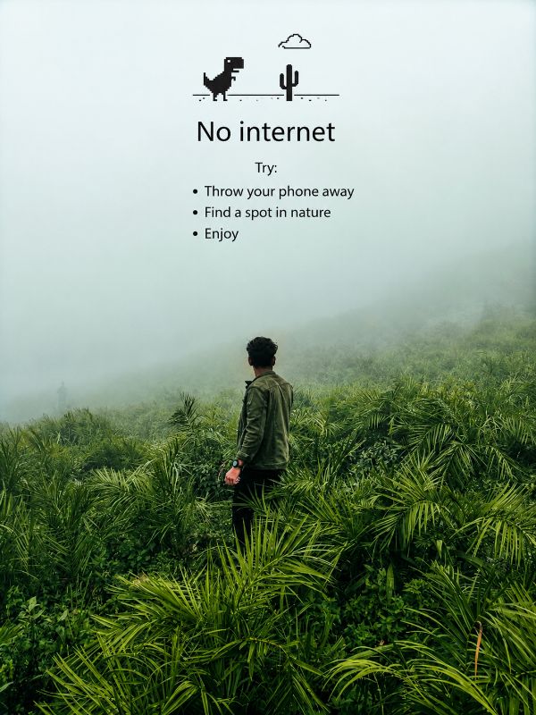 🌿 No Signal, Better Connection — AI image prompt example generated with this prompt